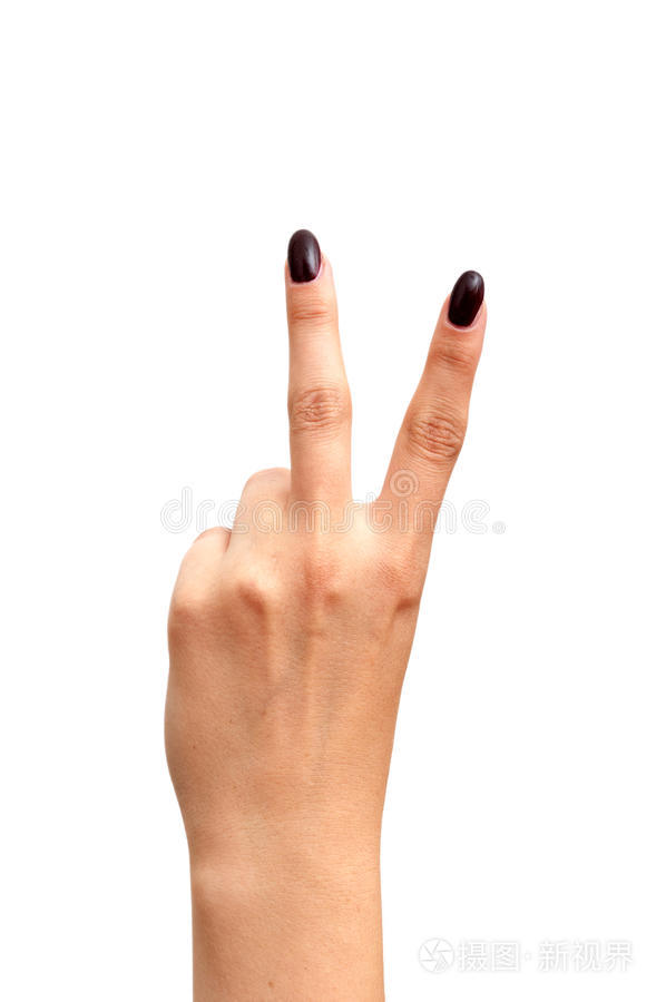 下载小样发票合同问题/举报竖起大拇指的人的手商务女性手掌张开手势