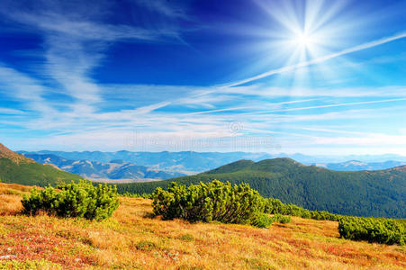 山地夏季景观