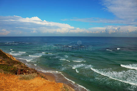 海岸