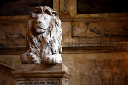公共图书馆的狮子雕塑图片