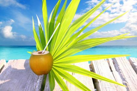 加勒比海鲜椰子