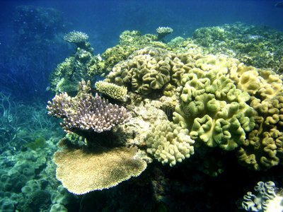 大堡礁水景