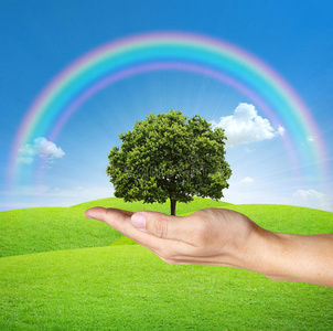 一棵手执蓝天彩虹的树