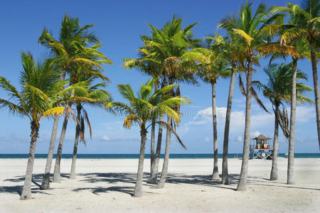 迈阿密阳光海滩图片