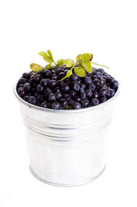 桶里的蓝莓图片