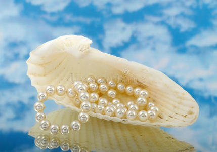 贝壳里优雅的珍珠