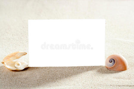 沙滩度假珍珠贝壳蜗牛空白纸