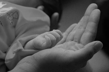 婴儿的手在他父亲的掌心