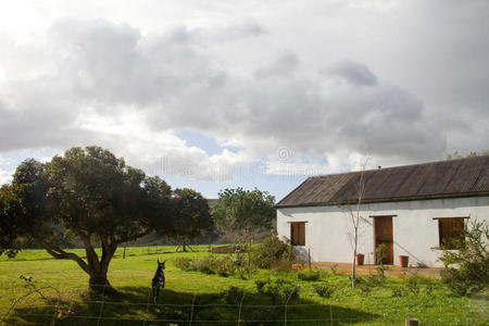 路线 房子 家宅 花园 葡萄酒 伟大的 斗篷 南方 非洲