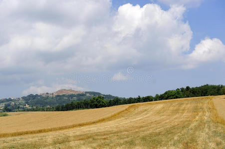 托斯卡纳，夏季景观