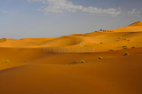 骑着沙丘的骆驼车队