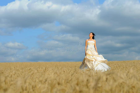 新娘走在田野里