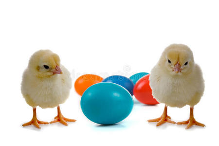 复活节彩蛋和鸡图片