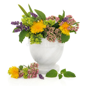 治疗草药和鲜花