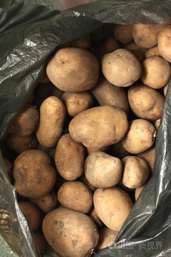 一袋土豆生薯条土豆带叶土豆篮子里的新鲜土豆新鲜土豆土豆白底红薯