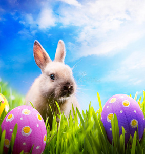 绿色草地上的复活节小兔子和复活节彩蛋