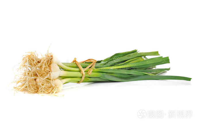 青蒜嫩叶