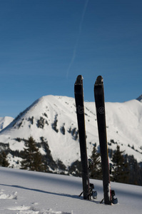 旅游滑雪板粘在深雪中图片