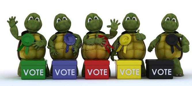 乌龟在选举中拉票图片