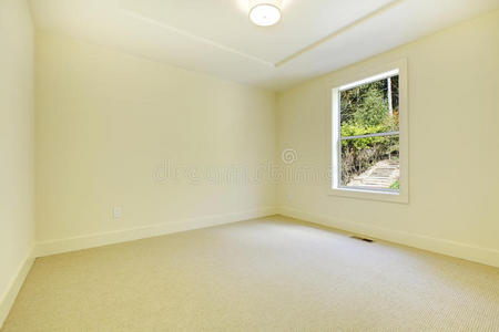 新卧室内部有一扇窗户和地毯。