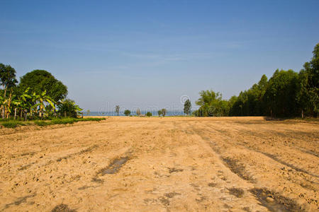 棕色农田土壤图片