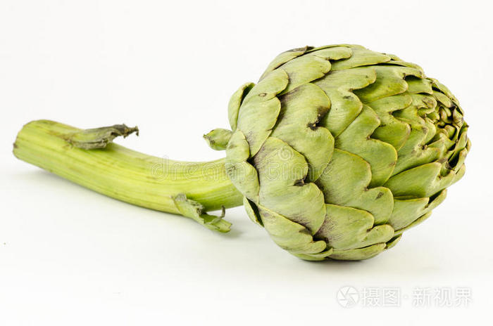 下载小样发票合同问题/举报朝鲜蓟蔬菜两个胡椒粉成熟番茄分离洋蓟两