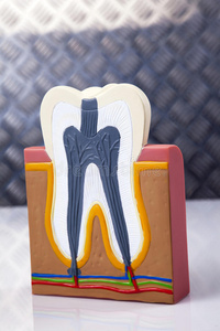 牙科设备牙齿护理和控制