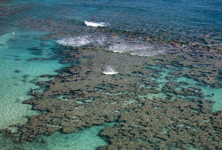 夏威夷花沼湾暗礁群图片