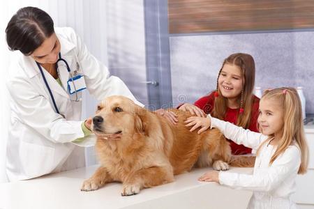宠物诊所的小女孩和狗