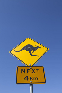澳大利亚袋鼠警告标志