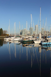 温哥华，false creek，marina reflections酒店