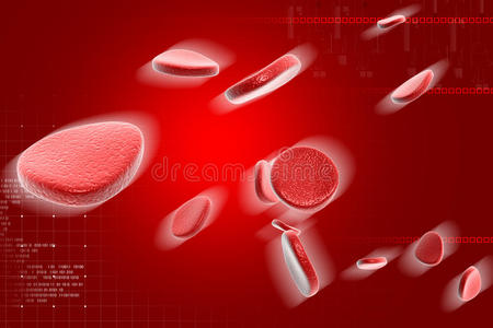 分离的血细胞