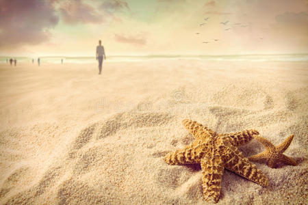 沙滩上的海星