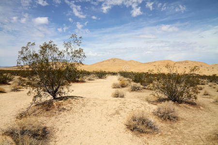 沙漠景观莫哈韦沙漠