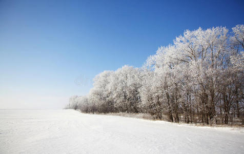 美丽的冬季景观