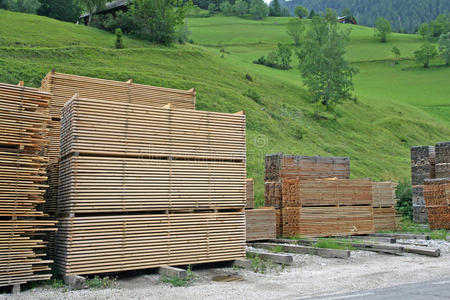 建造 锯末 处理 行业 建设 锯木厂 工作 木板 木材 堆栈