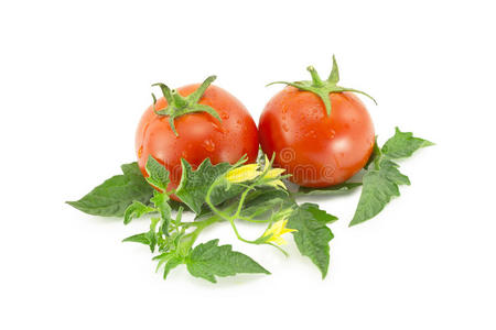 两个红番茄