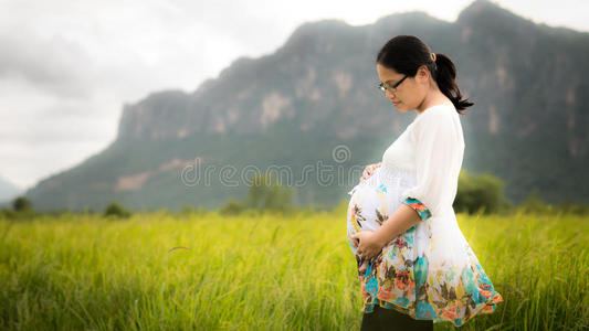 美丽的亚洲孕妇在稻田里