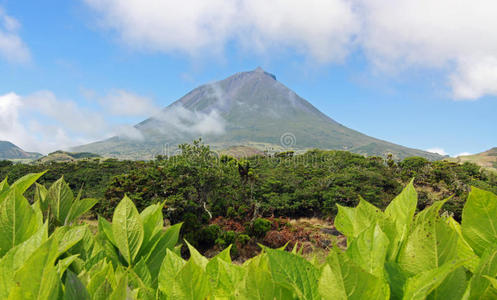 火山岩苏弗里耶尔小镇的天堂海滩 位于加勒比热带岛屿的圣卢西亚桑托