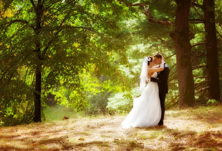 新郎新娘在公园的婚礼照片图片