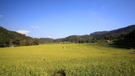 梅巴生琅成熟梯田风光