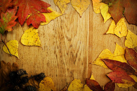 木板上的叶子