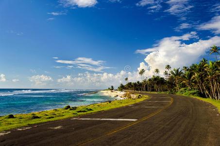 沿海道路和棕榈树