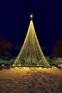 灯饰圣诞树