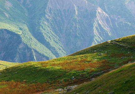 山谷中的小山图片