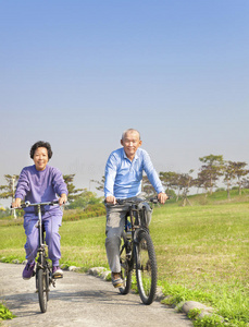 老年夫妇在公园里骑车