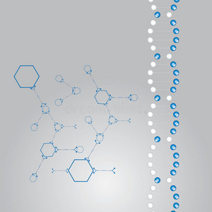 DNA链插图与原子。