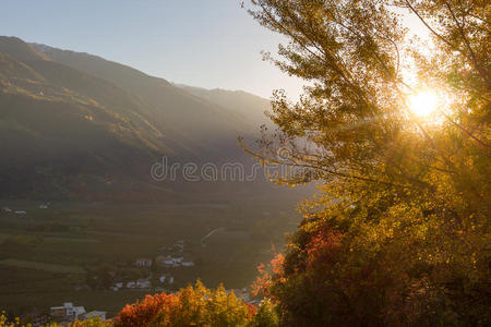 傍晚温暖的阳光下的秋谷图片