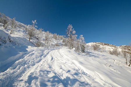 越野滑雪图片