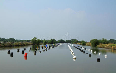 水产养殖场的一排浮标